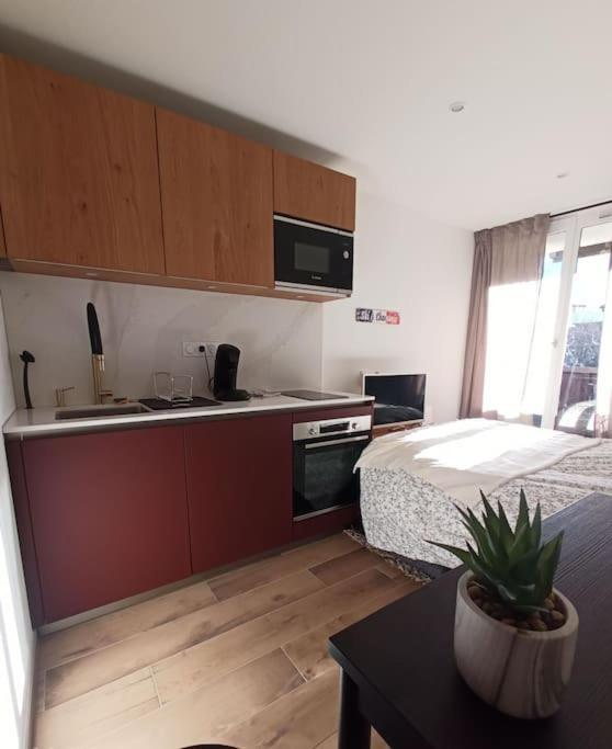 Le Sasha Apartment Chamonix Bagian luar foto